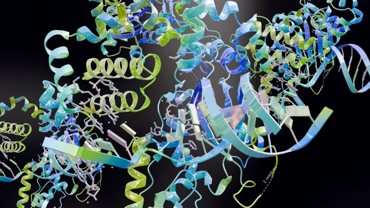 Google figures out how to watermark AI-designed proteins